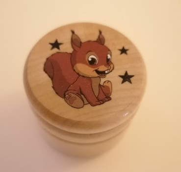 Zahndose Eichhörnchen, natur